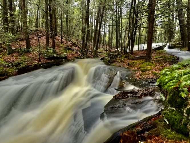 Picture 7 of Dunlop Brook Falls