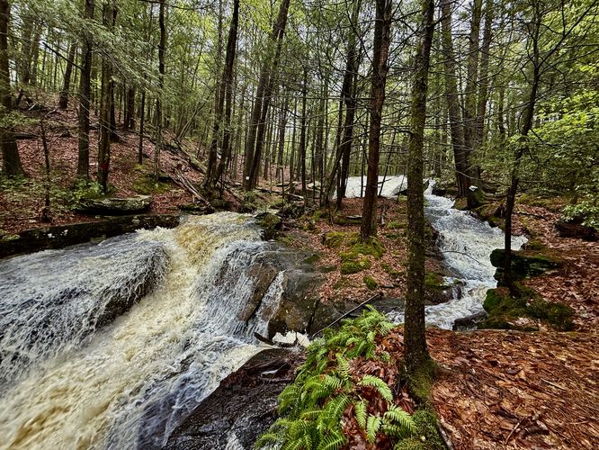 Picture 8 of Dunlop Brook Falls