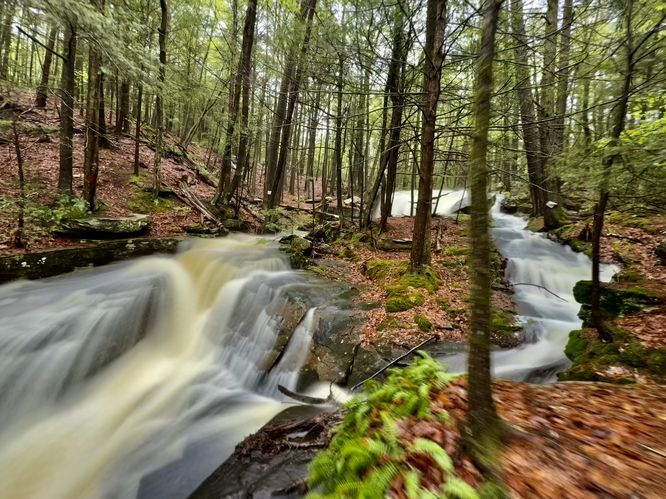 Picture 9 of Dunlop Brook Falls