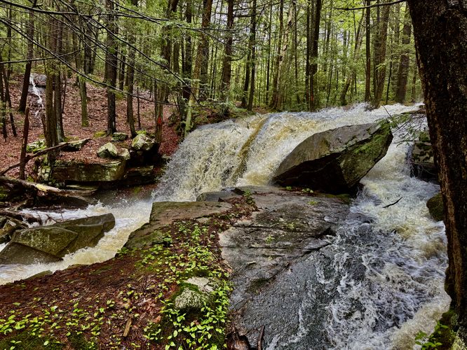 Middle Dunlop Brook Falls