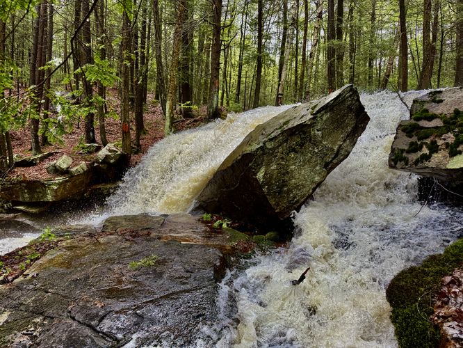 Picture 12 of Dunlop Brook Falls