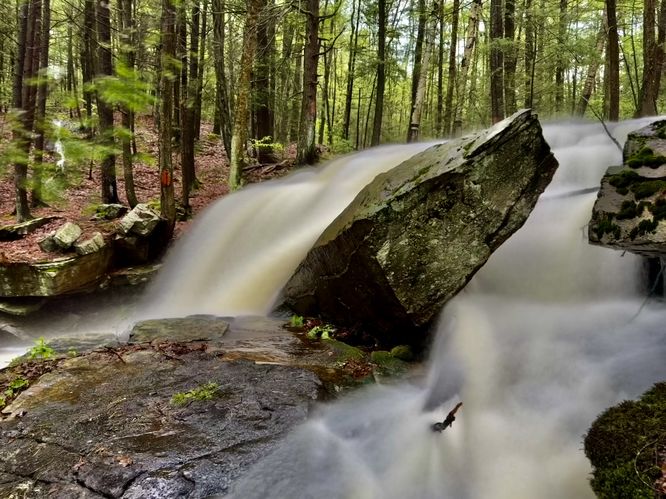 Picture 13 of Dunlop Brook Falls