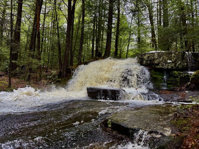 Upper Dunlop Brook Falls