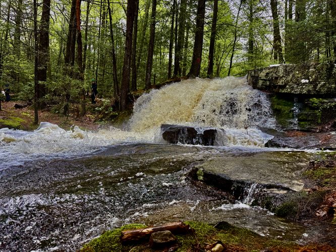 Picture 16 of Dunlop Brook Falls