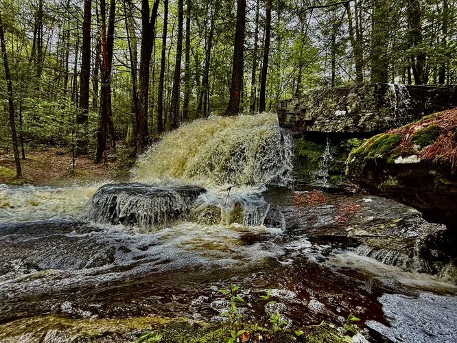 Picture 18 of Dunlop Brook Falls