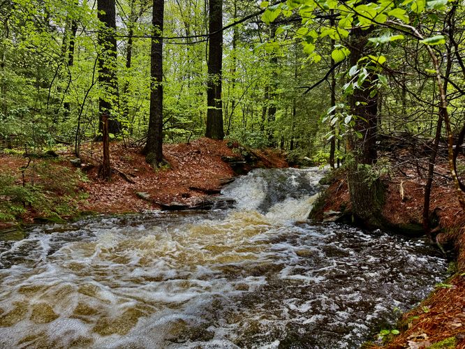 Small cascade above Dunlop Brook Falls
