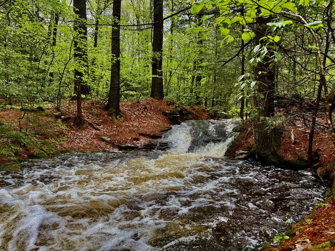 Picture 21 of Dunlop Brook Falls