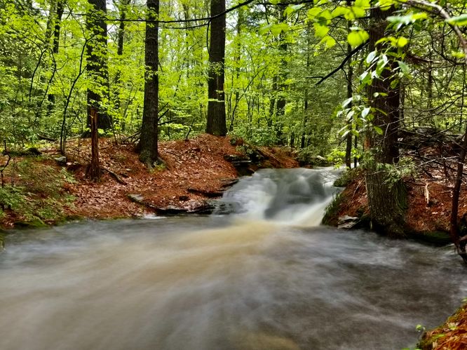 Picture 22 of Dunlop Brook Falls