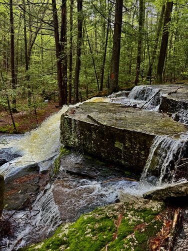 Top of Upper Dunlop Brook Falls