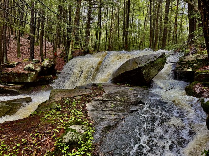 Picture 25 of Dunlop Brook Falls