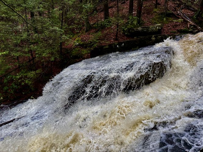 Picture 27 of Dunlop Brook Falls