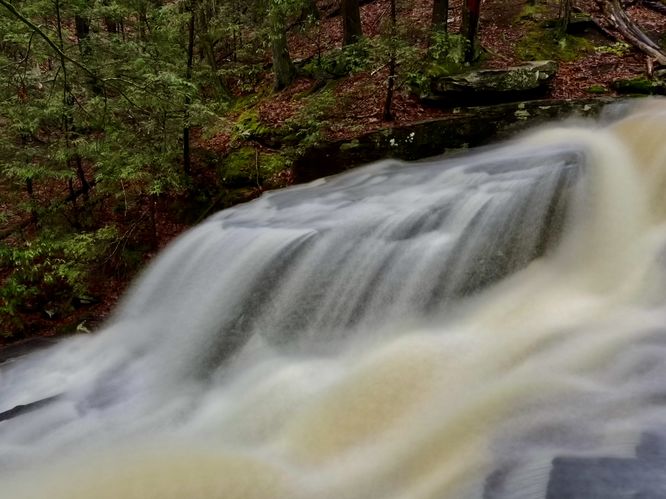 Picture 28 of Dunlop Brook Falls