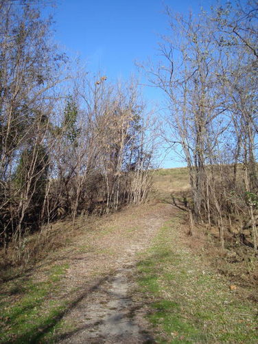 Picture 17 of Dutch Gap Hike 112208