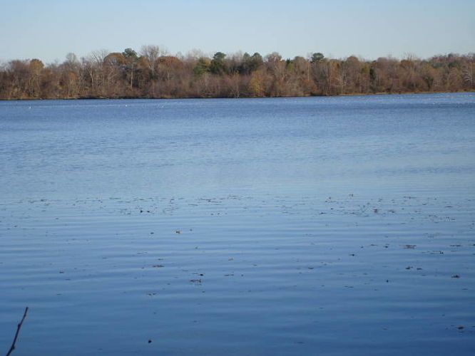 Default image for Dutch Gap Hike, a 5.3-mile trail in Chester, VA (US)