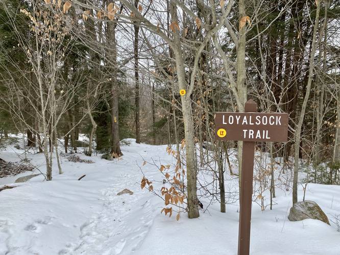 Trailhead for the Loyalsock Trail