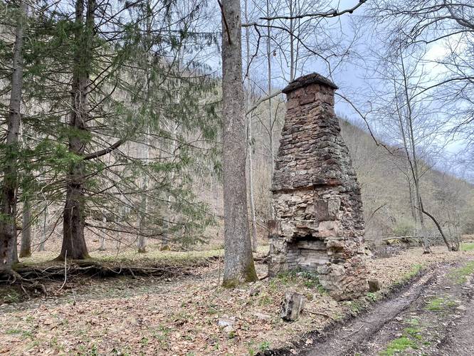 Abandoned chimney log cabin chimney