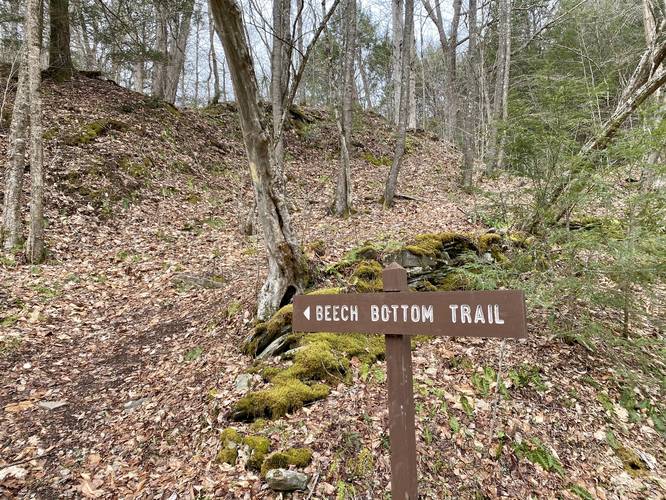 Beech Bottom Hollow Trail trailhead