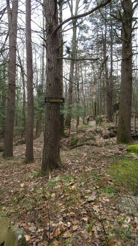 Winter friendly trail markers