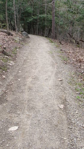 The best thing to find on the trail: wheelchair hiker tracks!