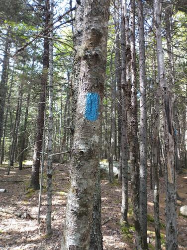 Example of trail marker 