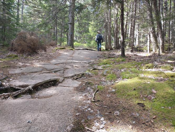 Ledge along the trail 