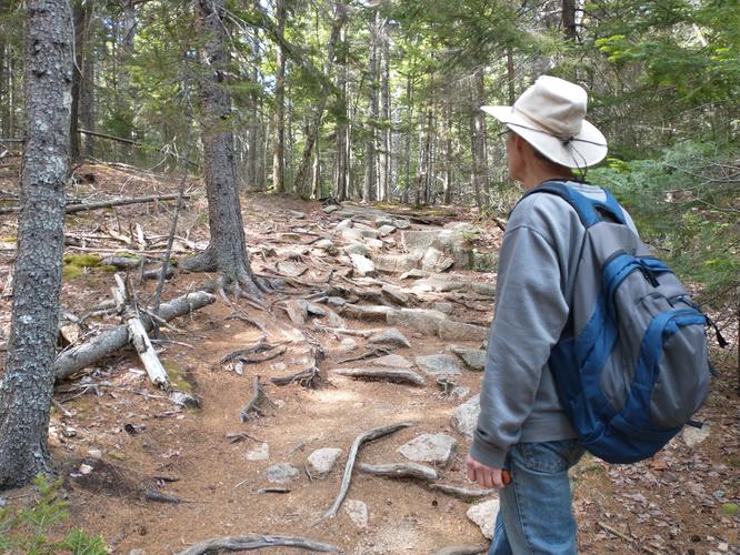Lots of rocks. Watch your footing.