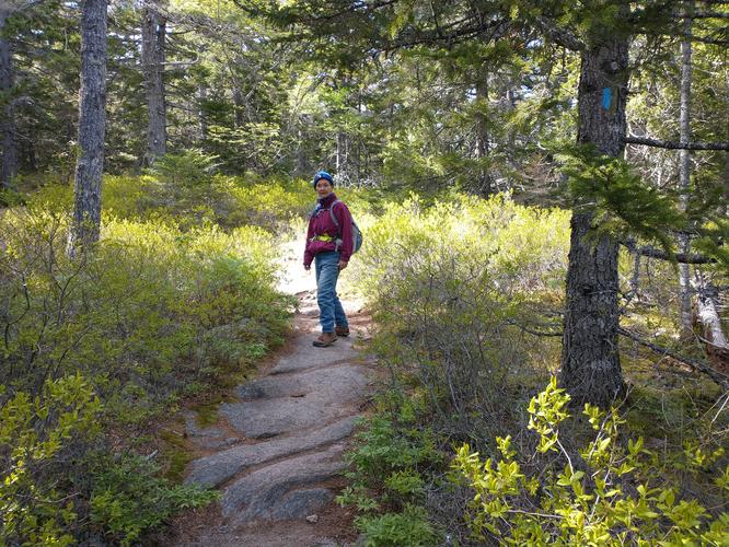 Heading back down the trail across ledges flanked by blueberry bushes 