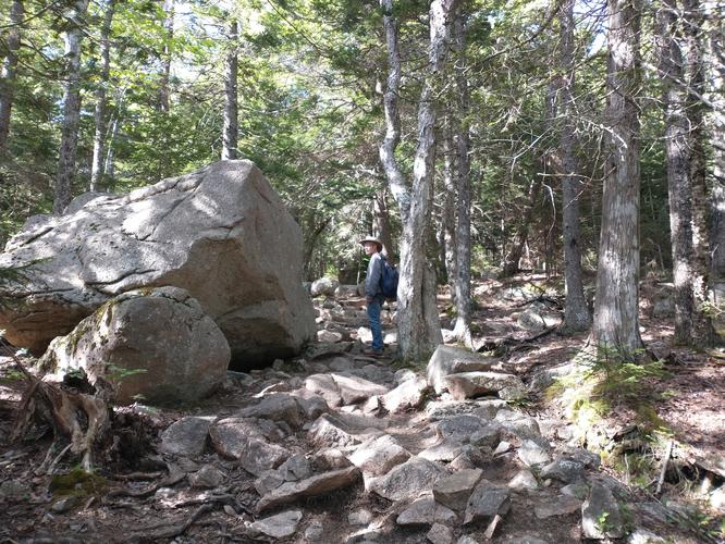 Glacial Eratics and Rocky trail