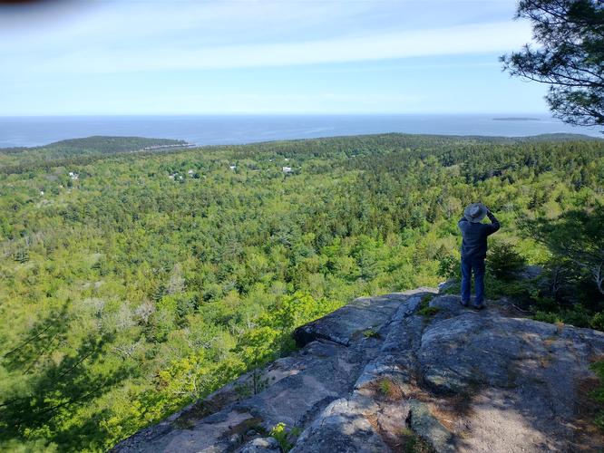Default image for Eagles Crag via Cadillac South Ridge Trail, a 2.3-mile trail in Bar Harbor, Maine (US)