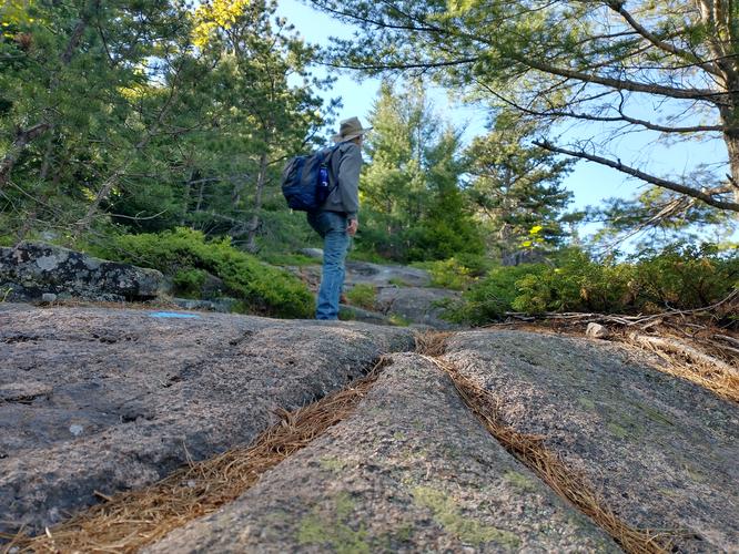 Rocky ledge