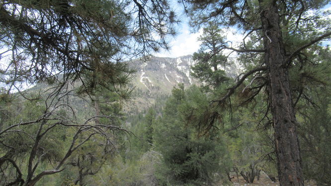 Still some snow on the mountains