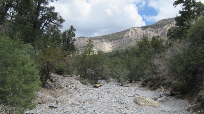 Fletcher Canyon Wash