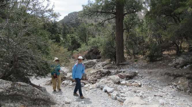 Easy hiking on the trail beside the wash