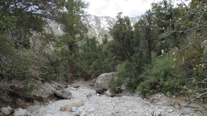 View of snow on the mountain tops