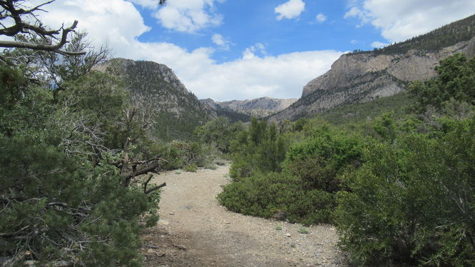 Eagles Nest Trail