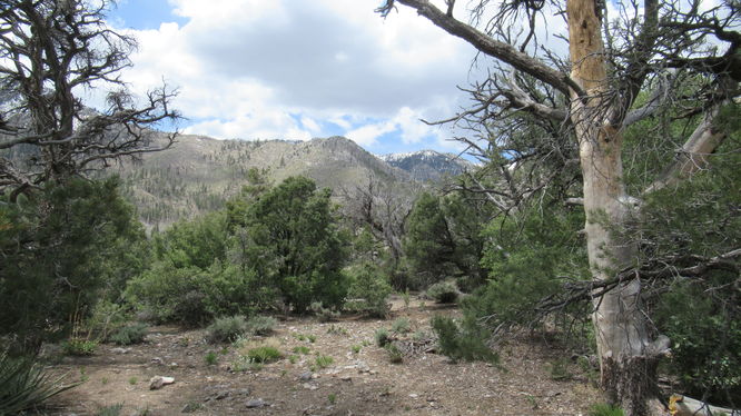 Views from the trail