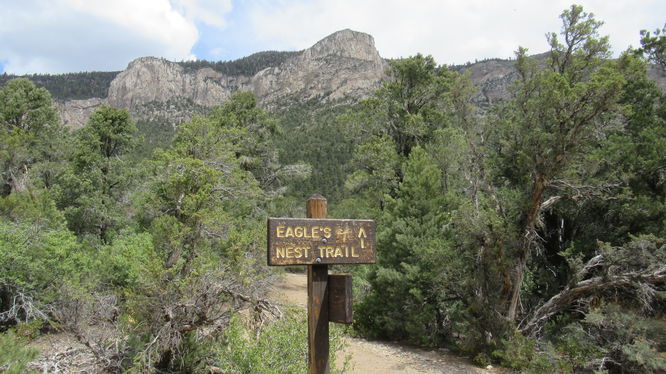 Signage at loop
