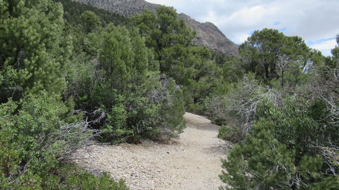 Eagles Nest Trail
