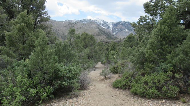 View across to Kyle Canyon