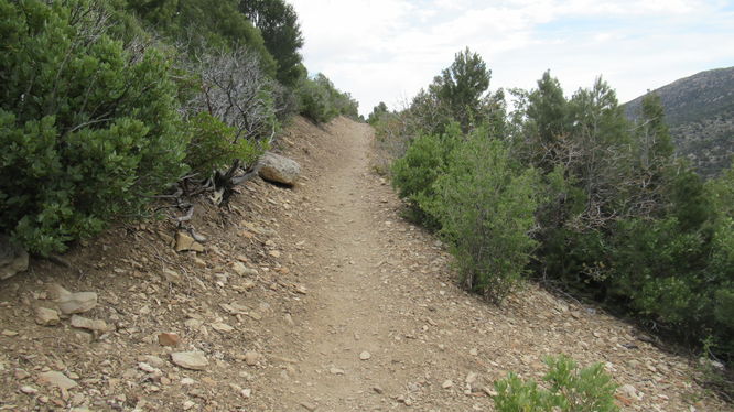 Trail substrate