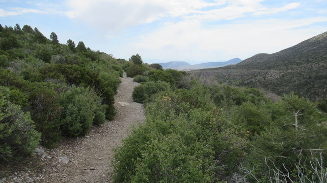 View along the trail