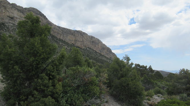 View of Kyle Canyon from the trail