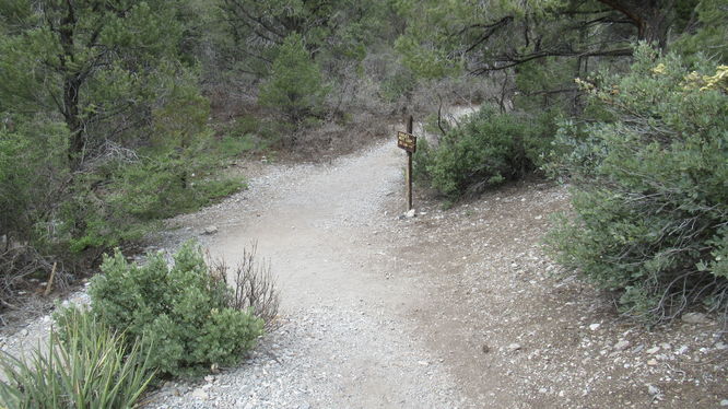 Rejoining the Fletcher Canyon Trail