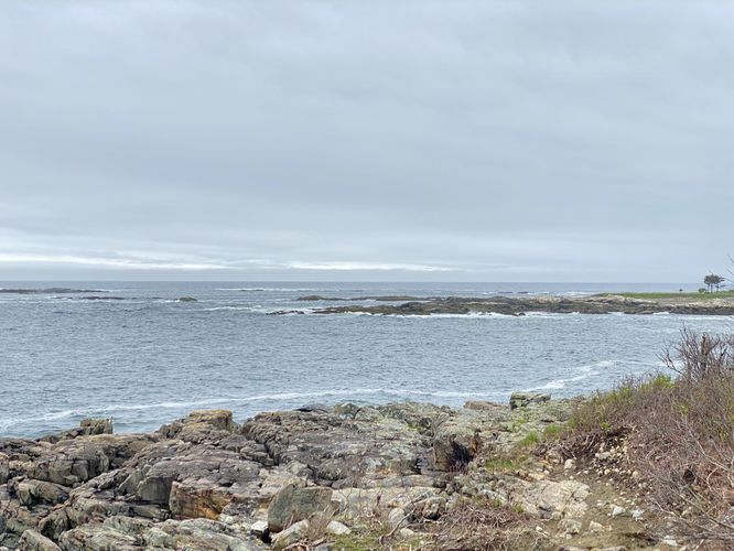 View of the coast from East Point Sanctuary