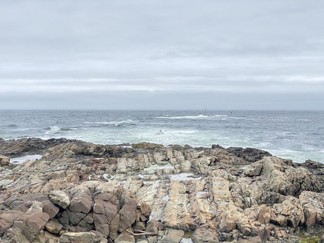 Striped bedrock along the coast at East Point Sanctuary 