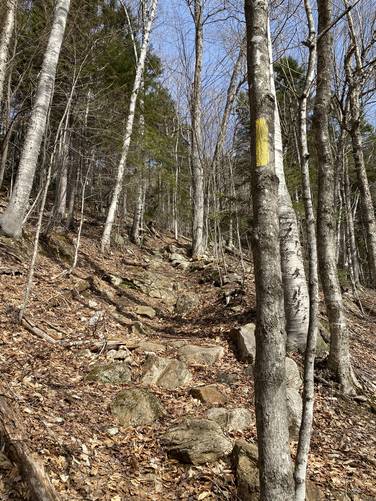 Trail follows yellow blazes along large rock-like steps