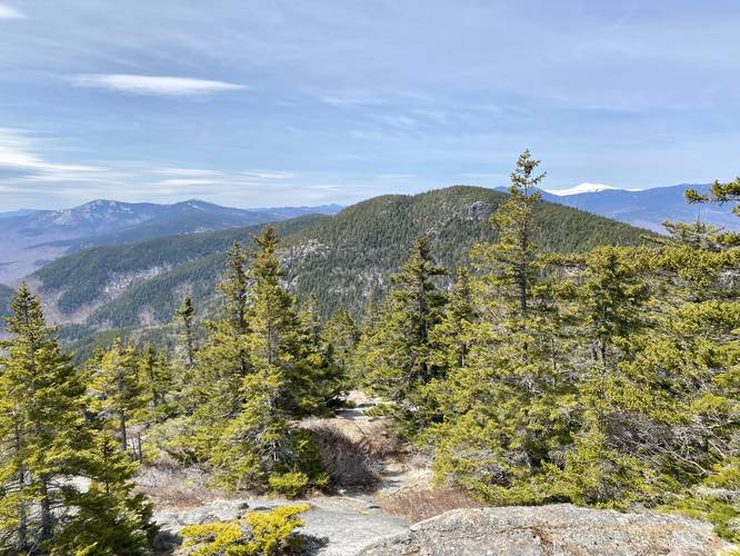 View of West Royce Mountain (foreground) and snow-capped Mt. Washington in the background from East Royce Mountain