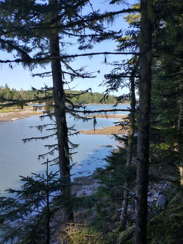 View from the trail