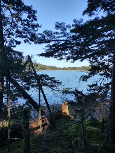 View of Pickering Cove