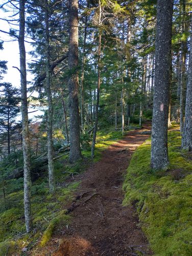 Beautiful trail